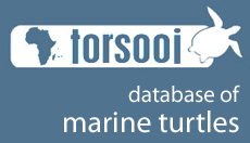 TORSOOI - South West Indian Ocean Marine Turtle Database